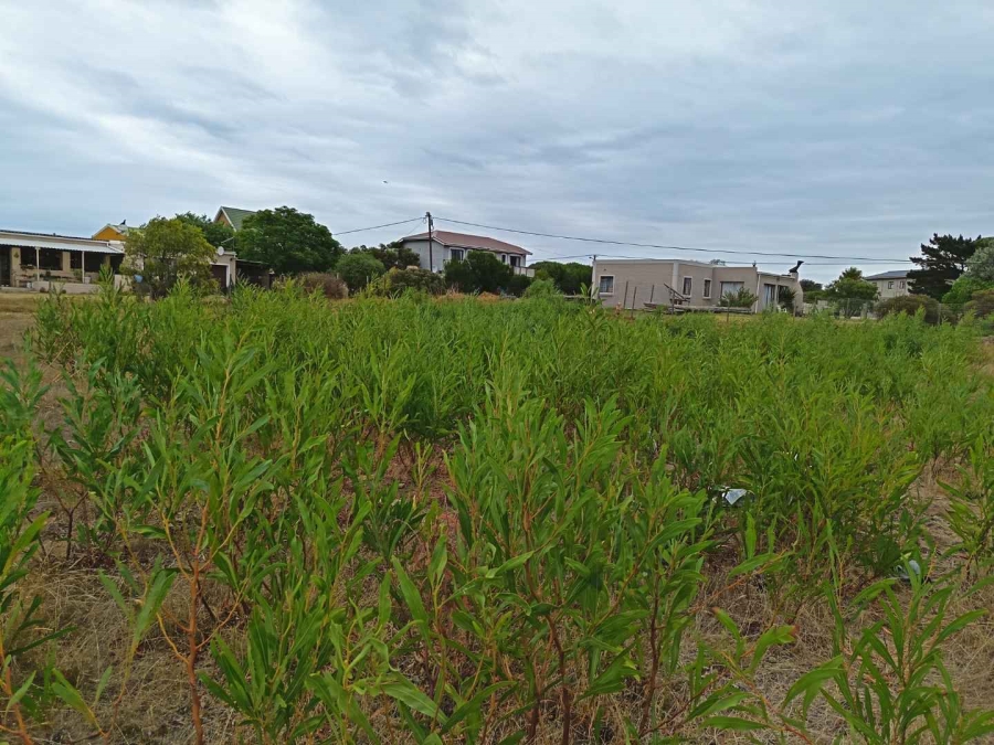 0 Bedroom Property for Sale in Fisherhaven Western Cape